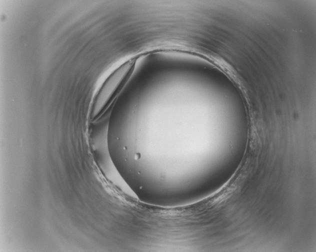 X0000055520904200508262202