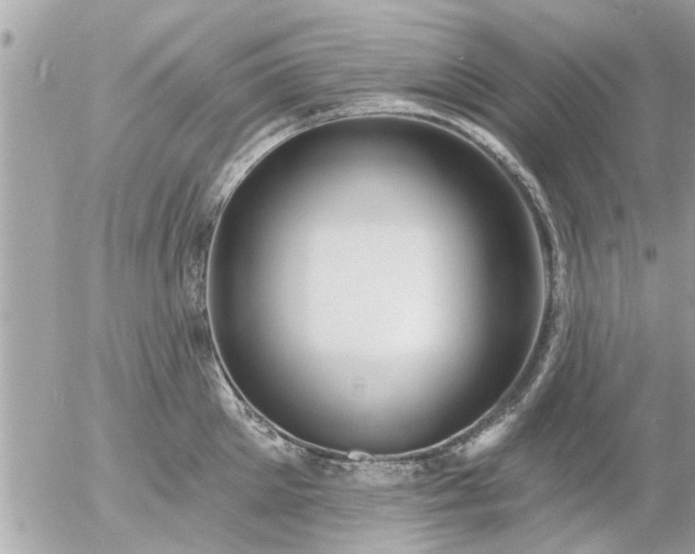 X0000055520905200508262202