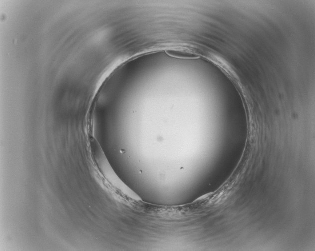 X0000055520907200508262202