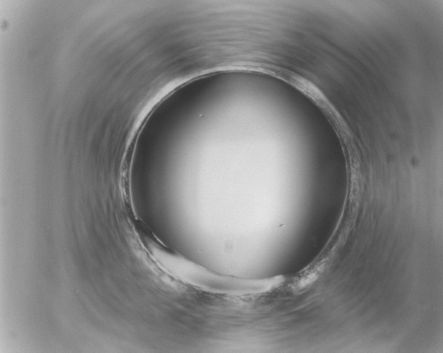 X0000055520908200508262202