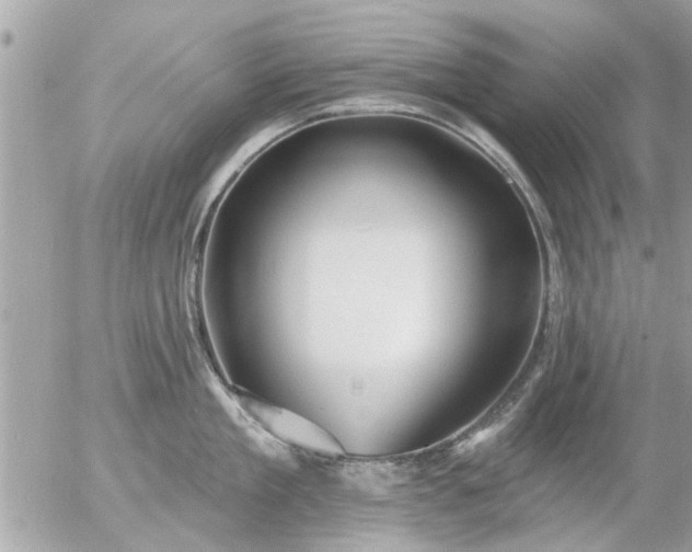 X0000055520909200508262202