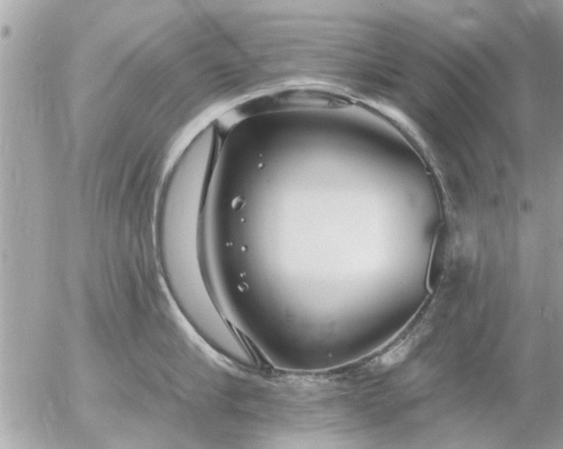 X0000055520910200508262202