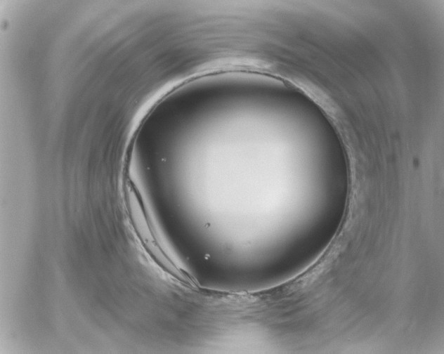 X0000055520912200508262202