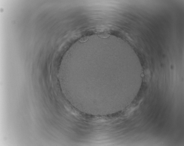 X0000055520913200508262201