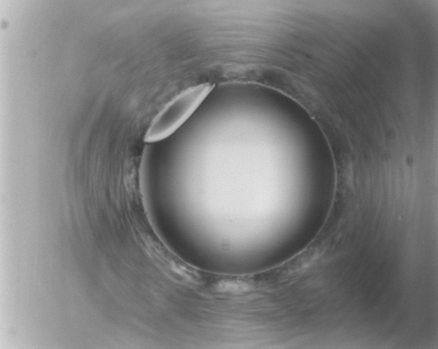 X0000055520914200508262201