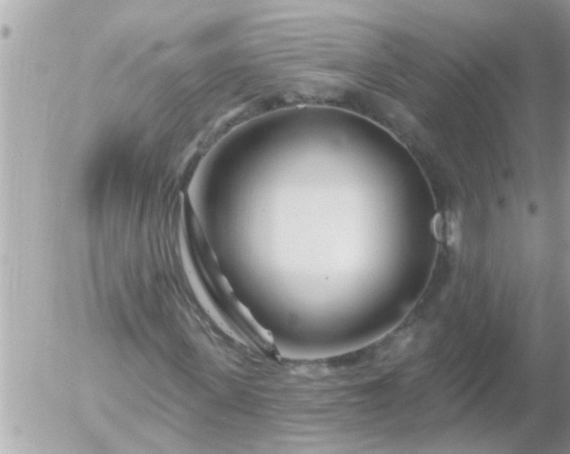 X0000055520915200508262201