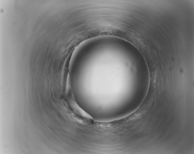 X0000055520916200508262201