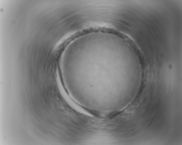 X0000055520919200508262201