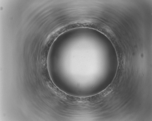 X0000055520920200508262201