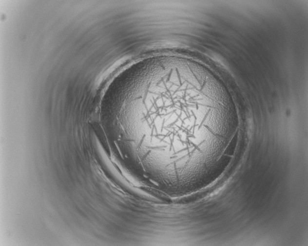 X0000055520921200508262202