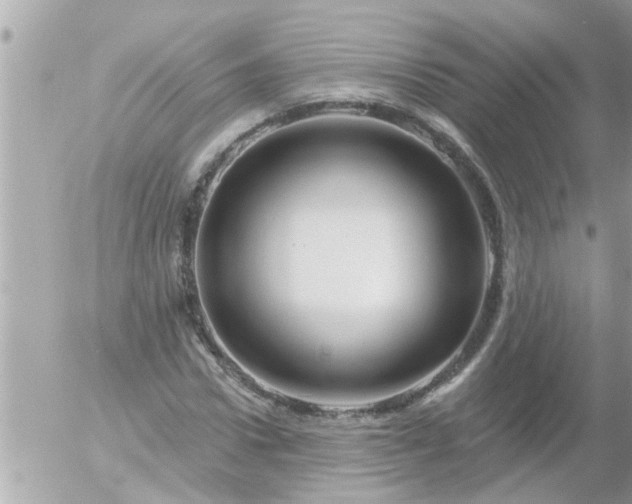 X0000055520922200508262202