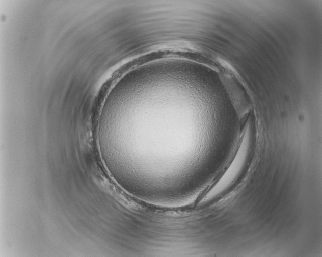 X0000055520923200508262202