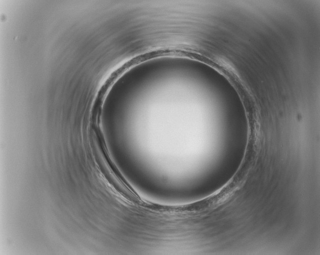 X0000055520924200508262202