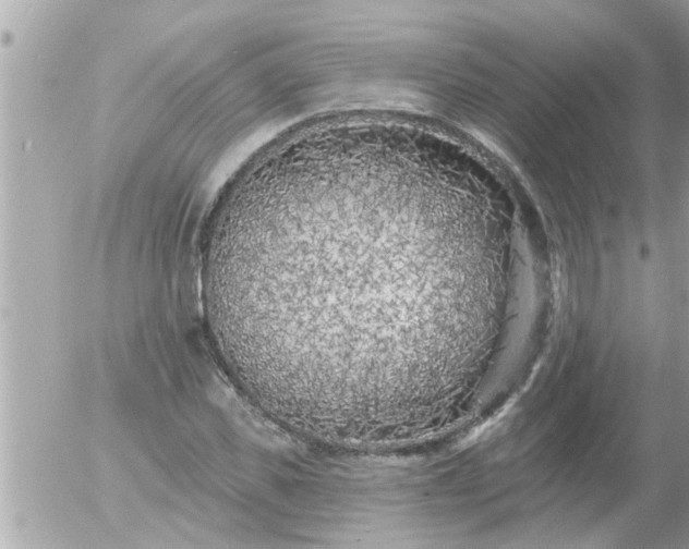 X0000055520925200508262202