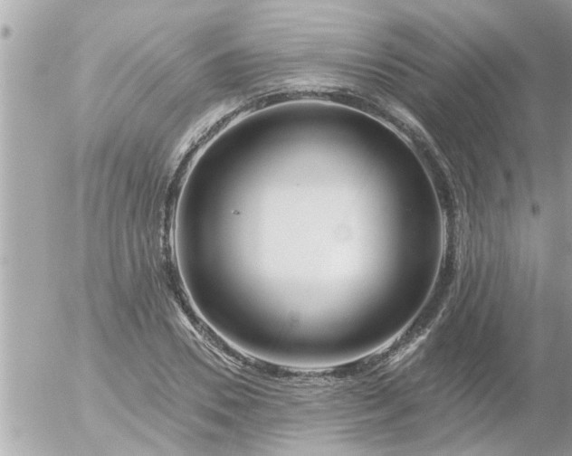 X0000055520930200508262202