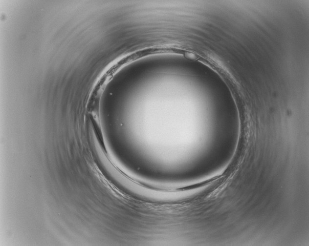 X0000055520932200508262202