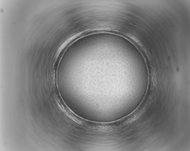 X0000055520933200508262202