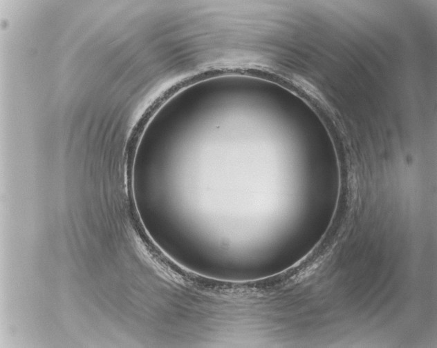 X0000055520934200508262202