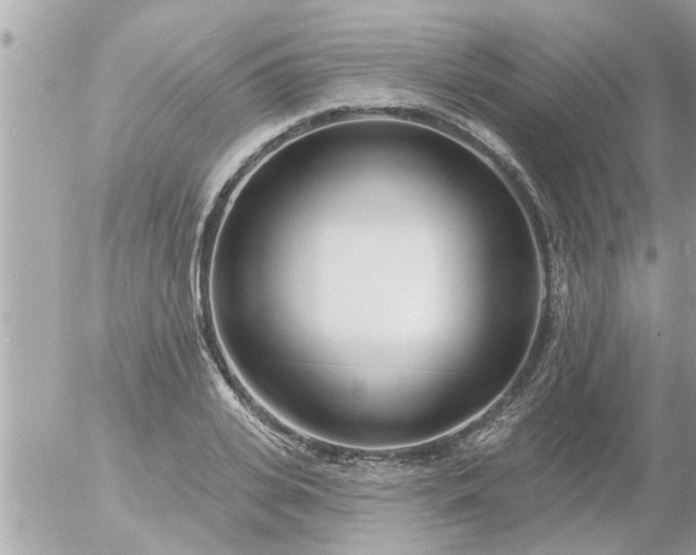 X0000055520935200508262202