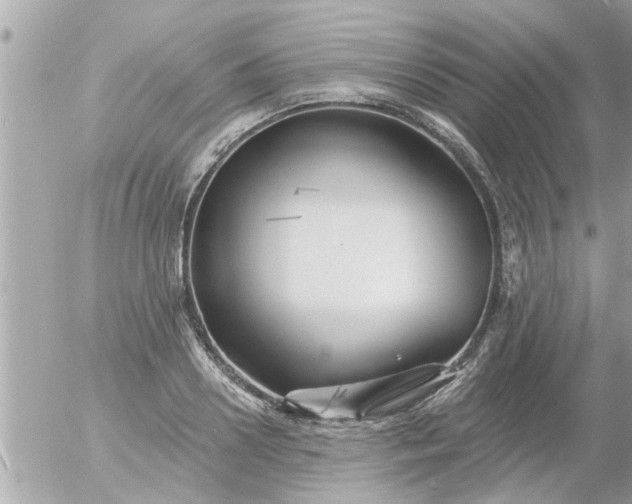 X0000055520938200508262202