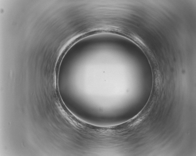 X0000055520940200508262202