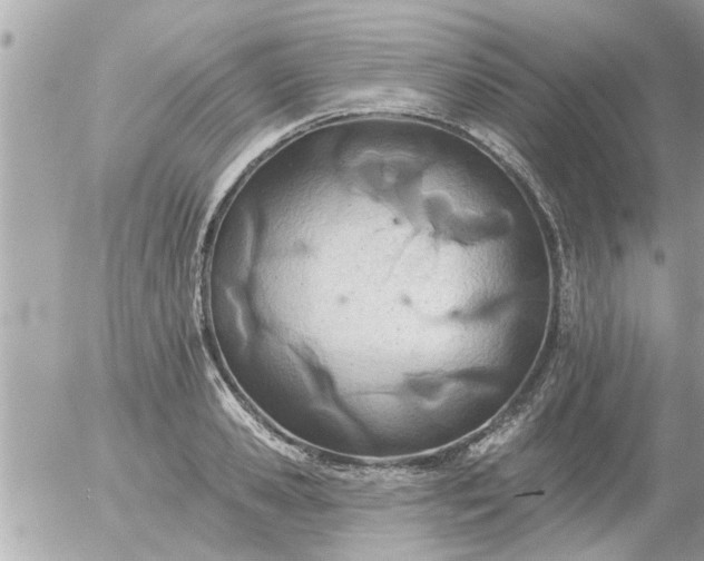 X0000055520941200508262202