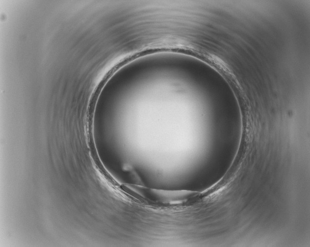 X0000055520942200508262202