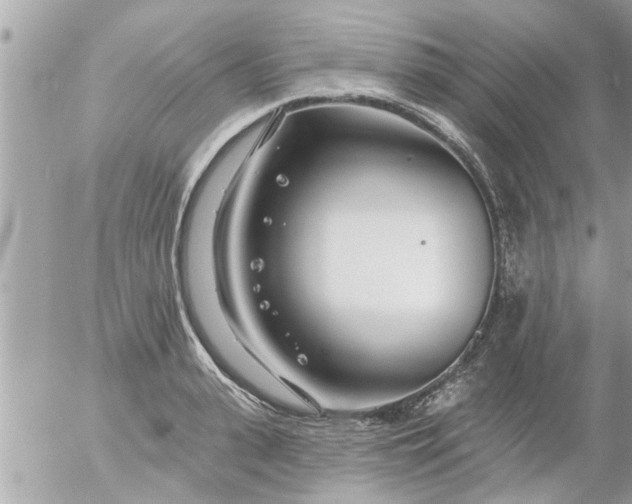 X0000055520943200508262202