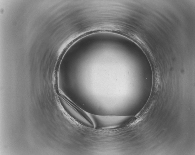 X0000055520944200508262202