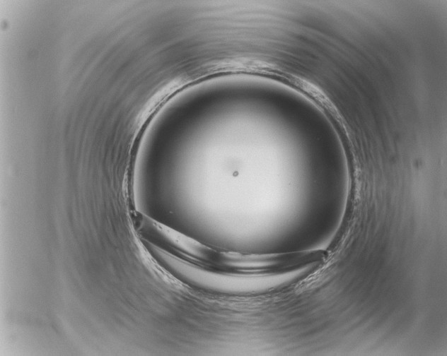 X0000055520946200508262202