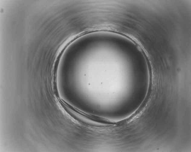 X0000055520949200508262202