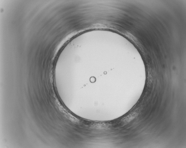 X0000055520950200508262202