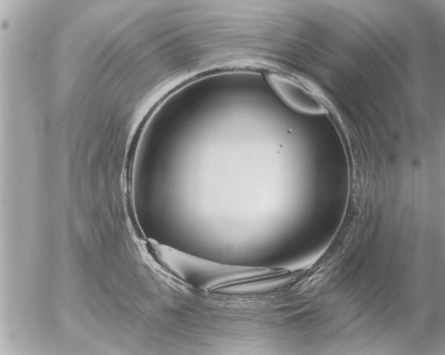 X0000055520951200508262202