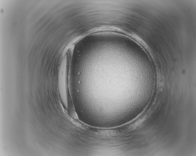 X0000055520953200508262202