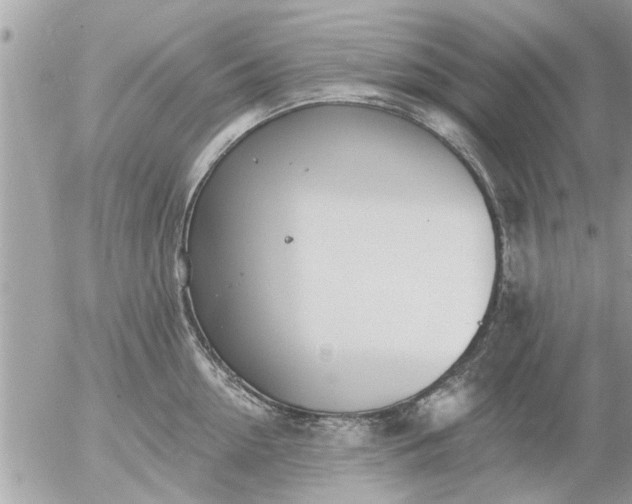 X0000055520954200508262202