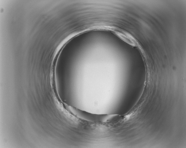 X0000055520955200508262202