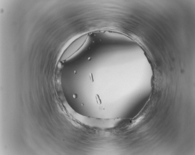 X0000055520956200508262202