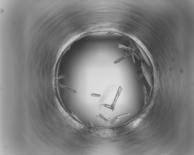 X0000055520957200508262202