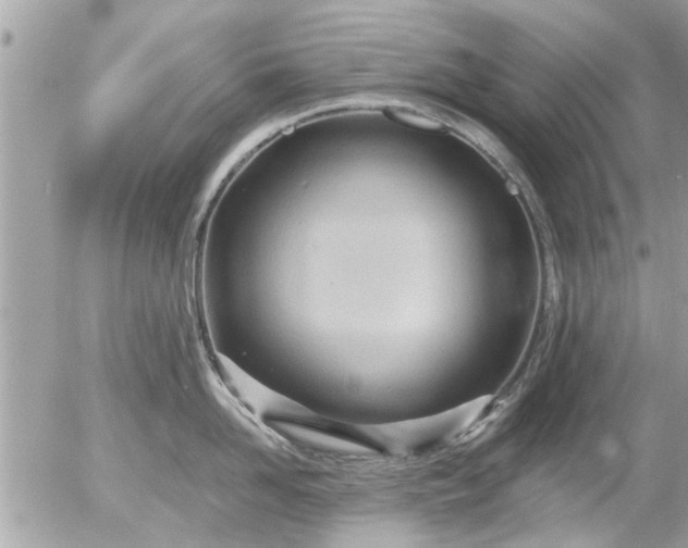 X0000055520958200508262202