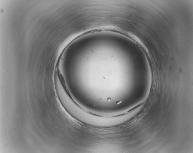 X0000055520959200508262202