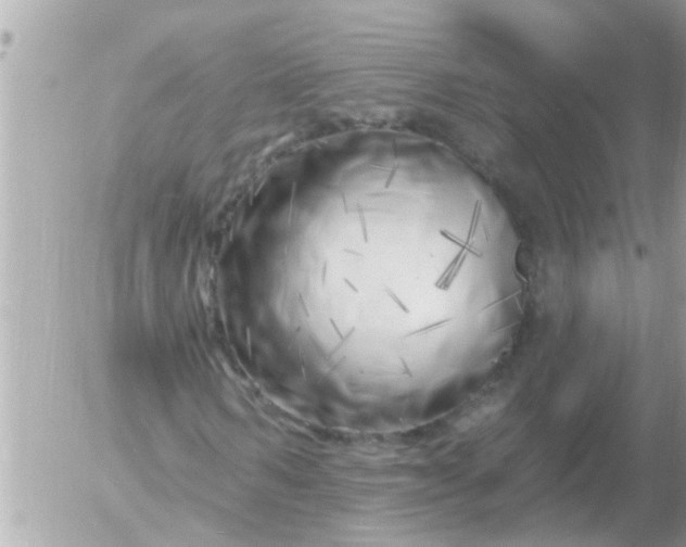 X0000055520962200508262201