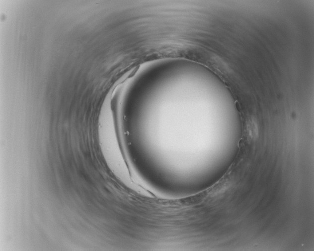 X0000055520964200508262201