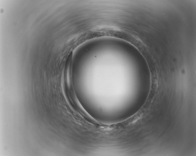 X0000055520965200508262201