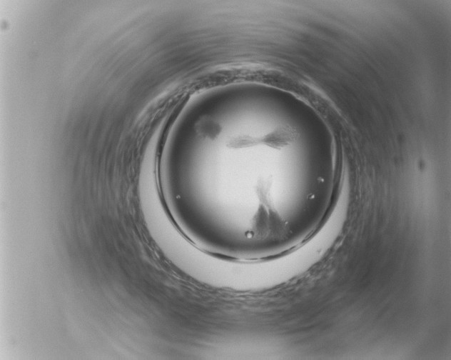 X0000055520967200508262201