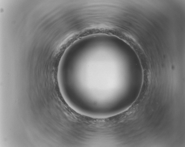 X0000055520968200508262201