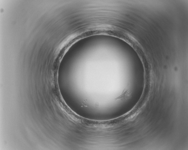 X0000055520970200508262201