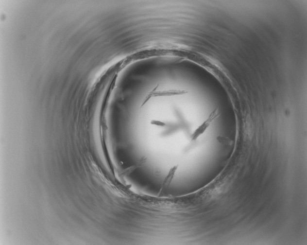 X0000055520971200508262201