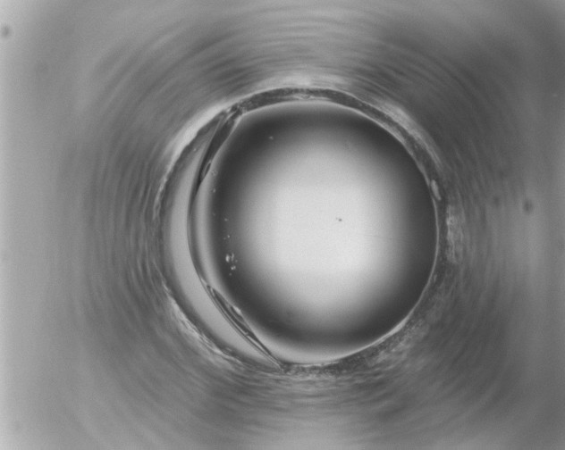 X0000055520972200508262201