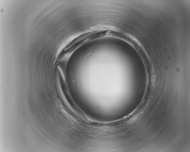 X0000055520973200508262201