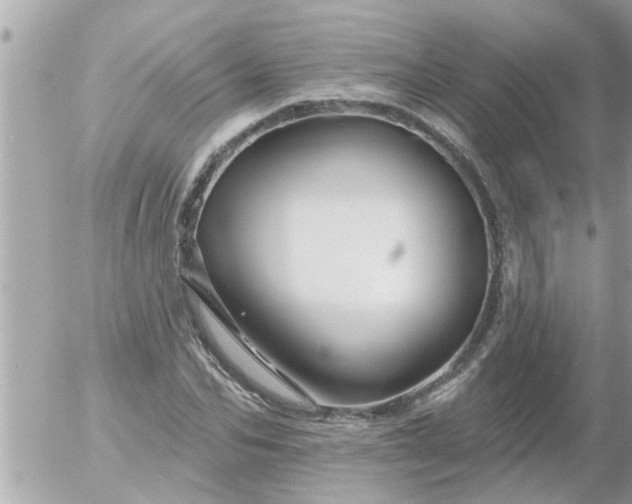 X0000055520974200508262201